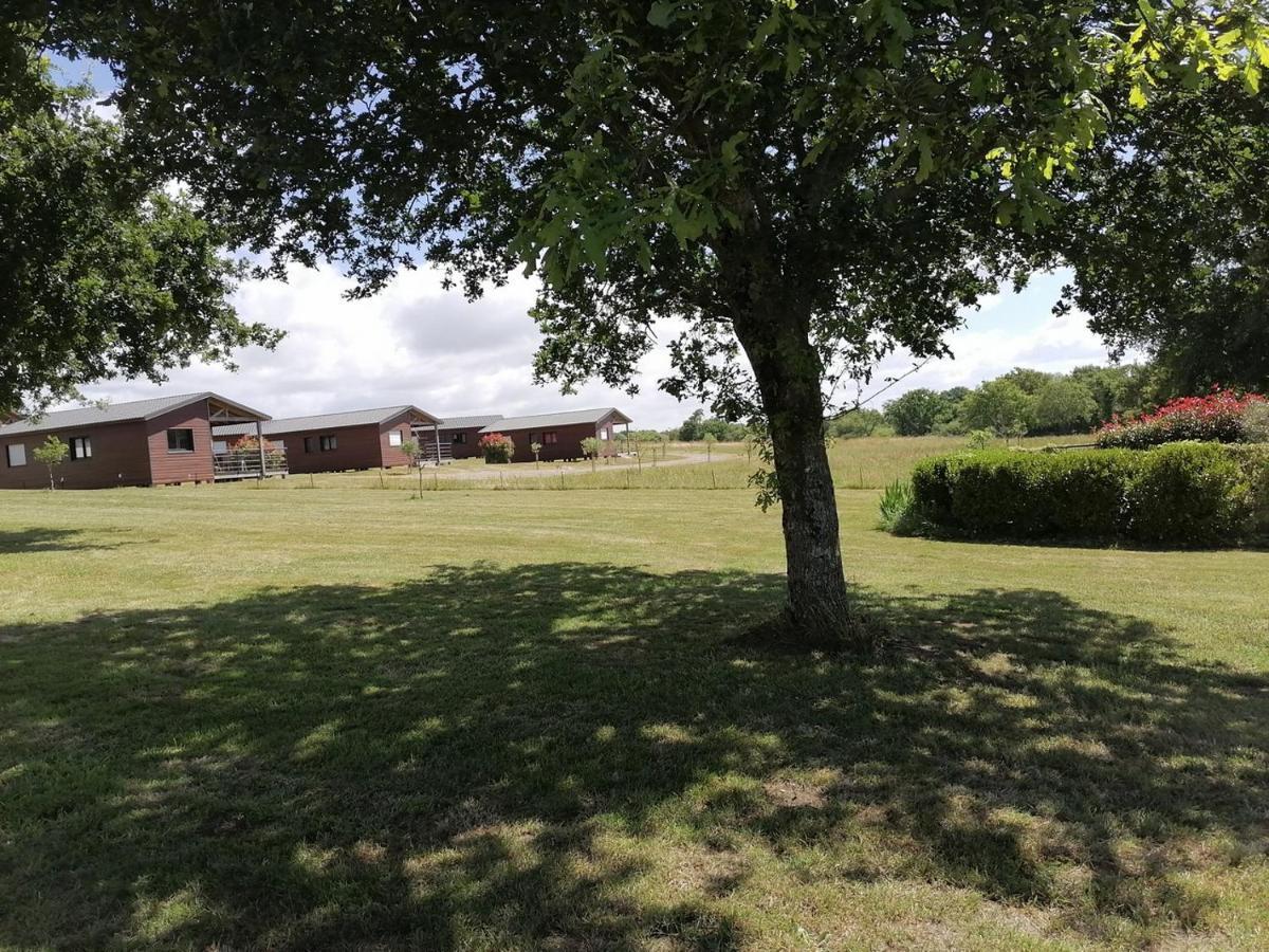Le Domaine De La Hechaie Marzan Exterior foto